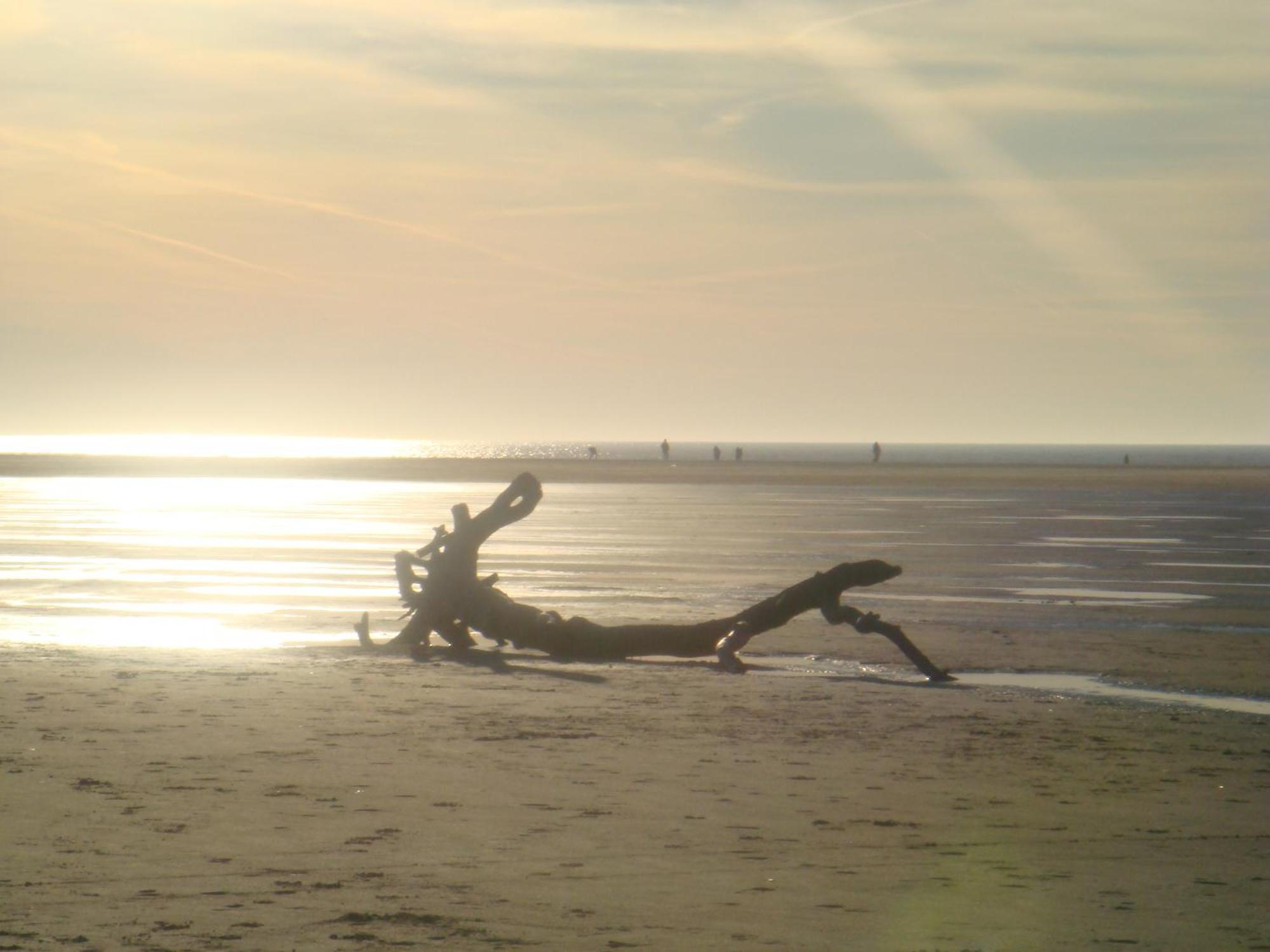 Hotel Twilling Sankt Peter-Ording Exterior photo